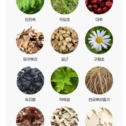 동의삼 천녹용홍삼침향 진액스틱 100포