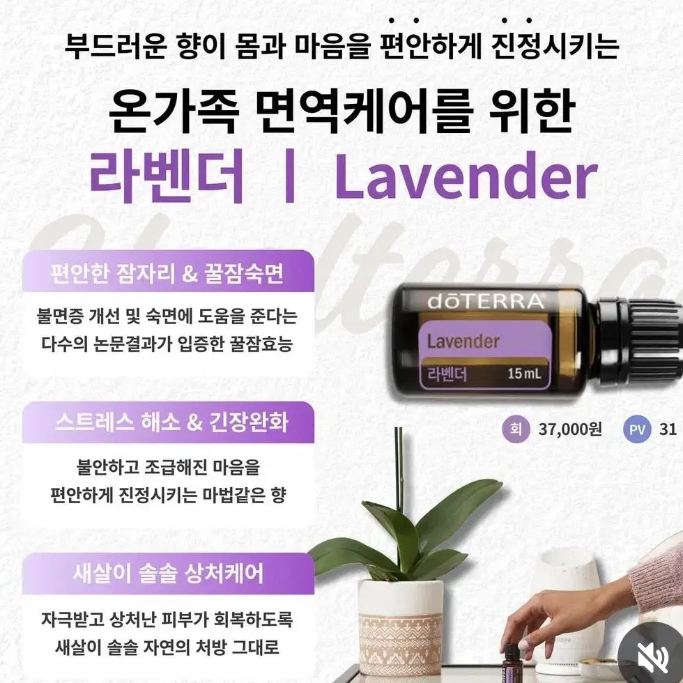 도테라 페파민트 15ml