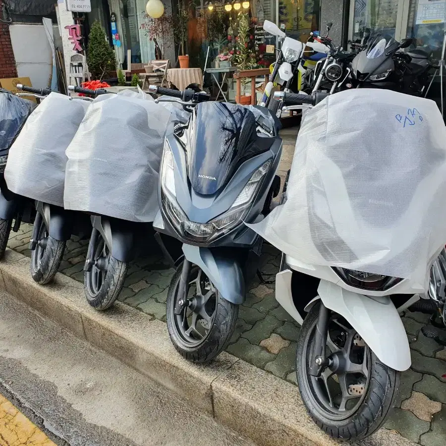 PCX125 신차 판매합니다 즉시출고 가능 리스X