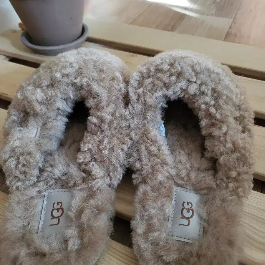 어그 ugg 뽀글이 맥시 컬리 슬리퍼