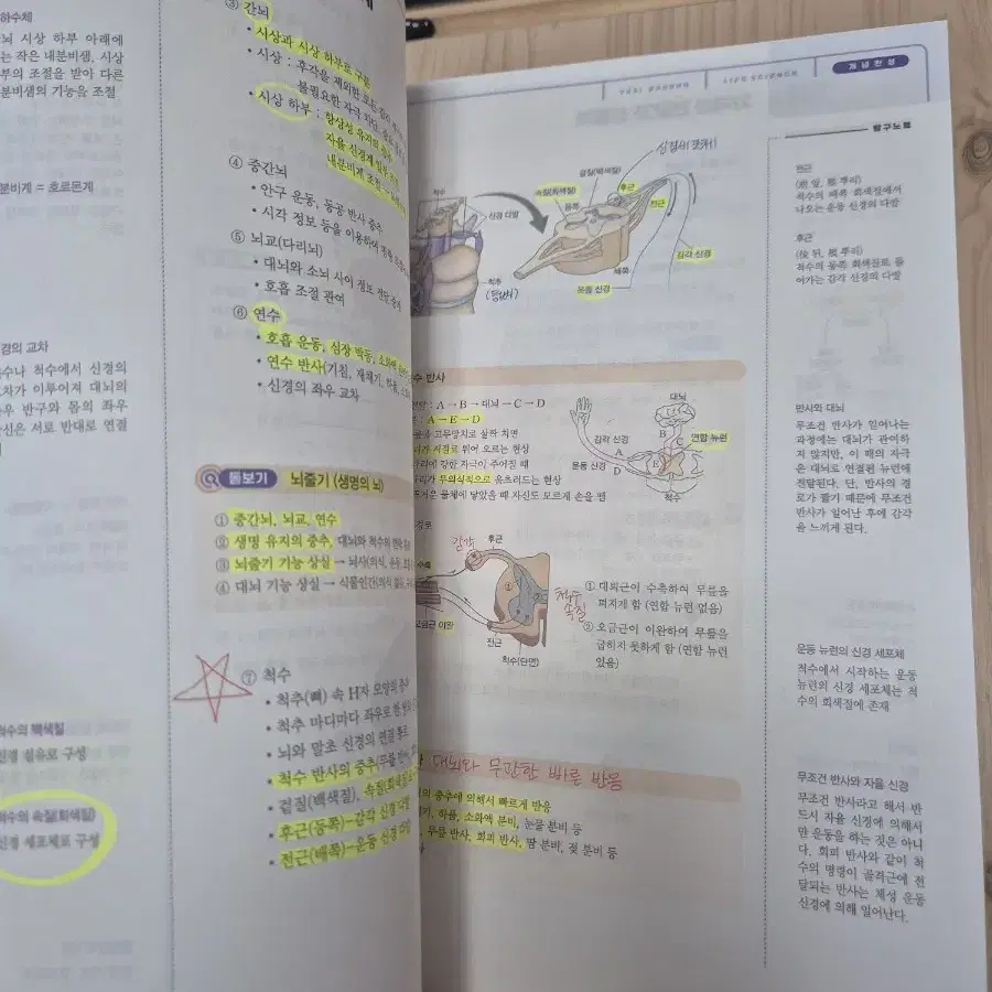 메가스터디 백호 개념완성 풀세트 생명과학1 생과1 생명1