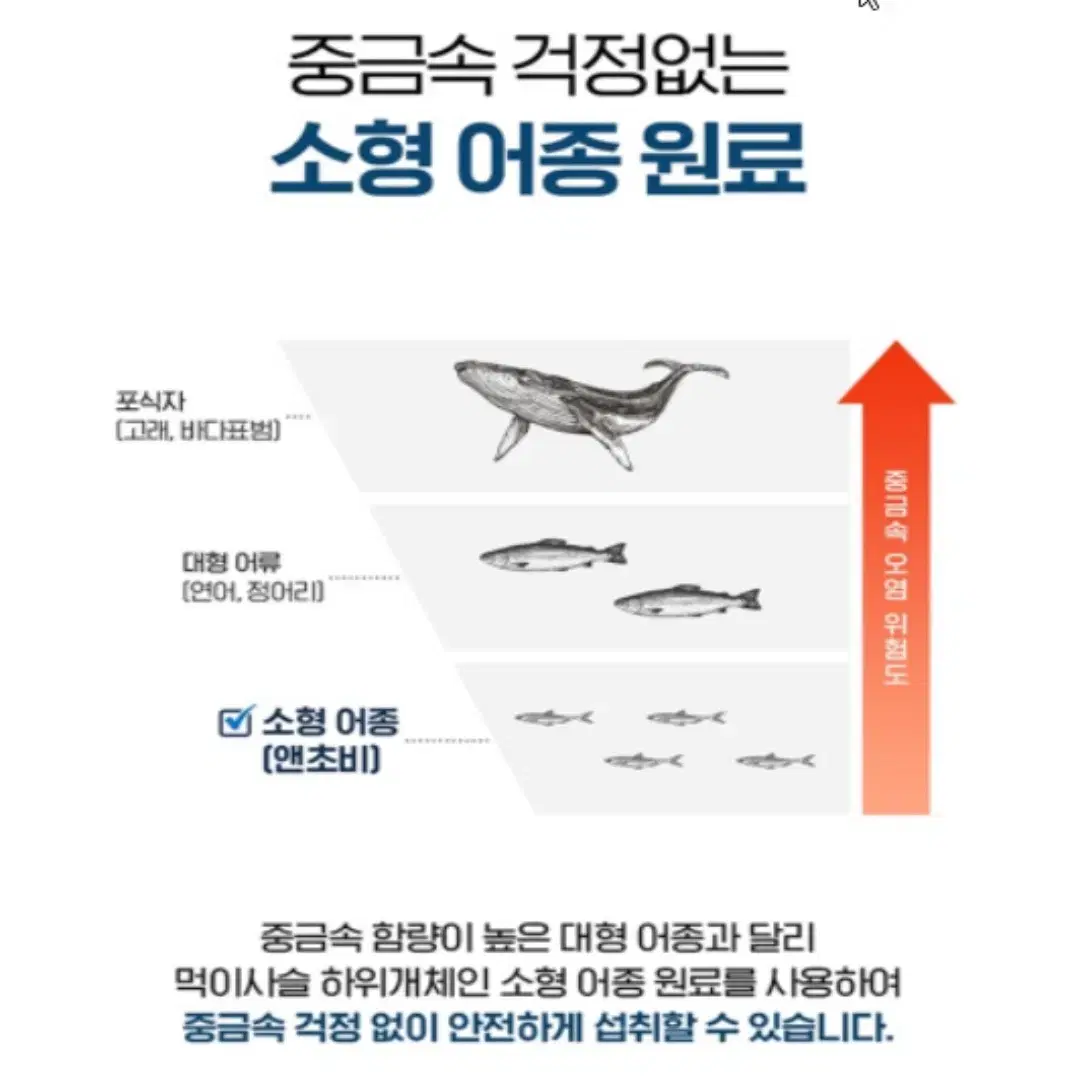 [6개월]닥터브라이언 알티지 오메가3 1400 프리미엄 대용량180캡슐