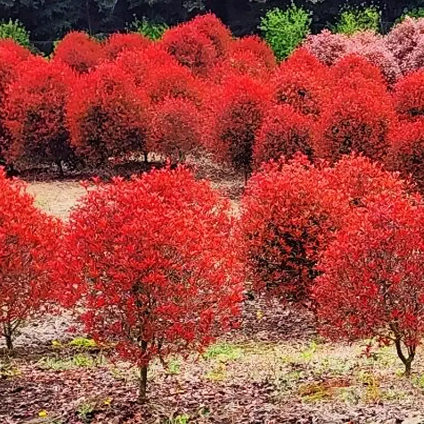 조경수 재테크 팝니다