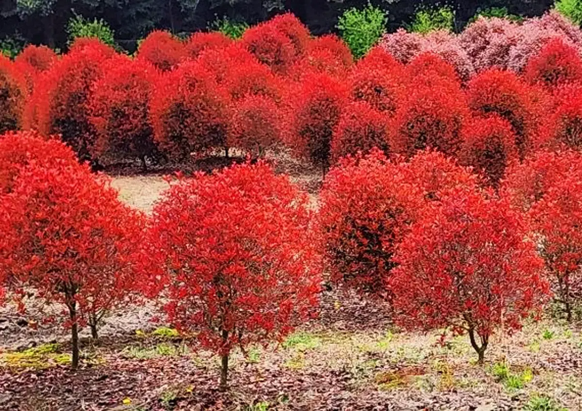 조경수 재테크 팝니다