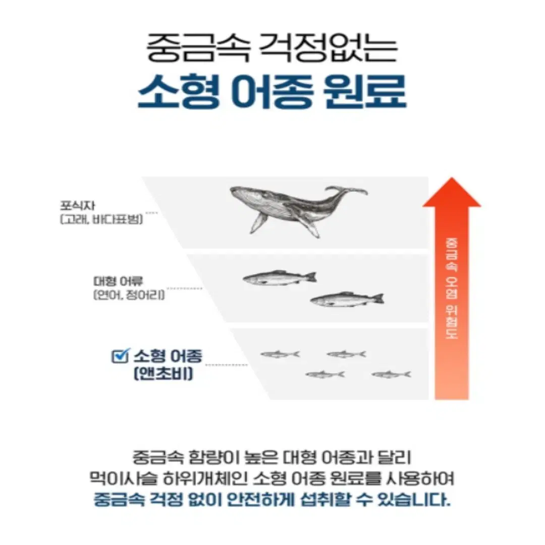 [2개월]닥터브라이언 알티지 오메가3 1400 프리미엄 60캡슐