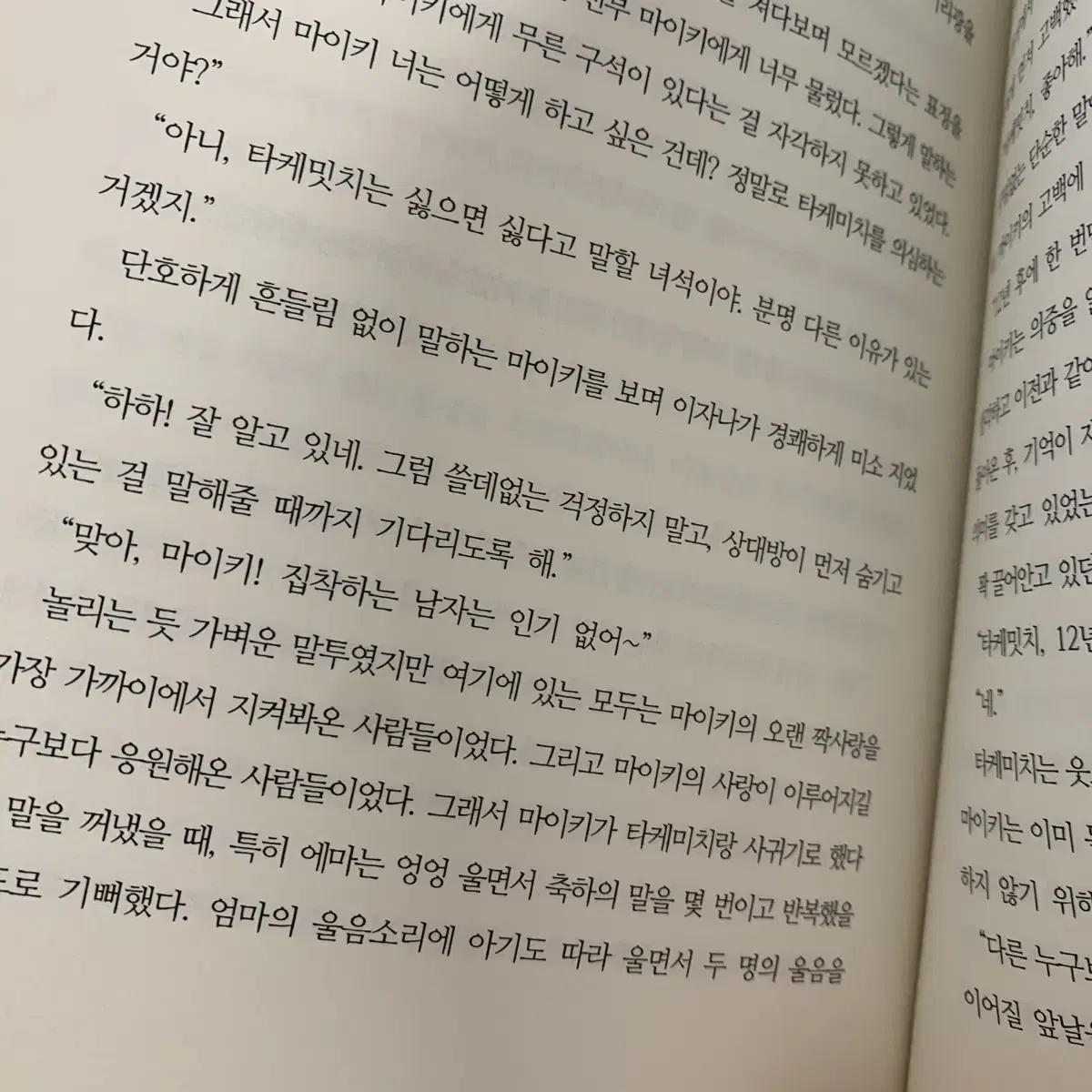 마이타케 타케른 도리벤 동인지 회지 소설