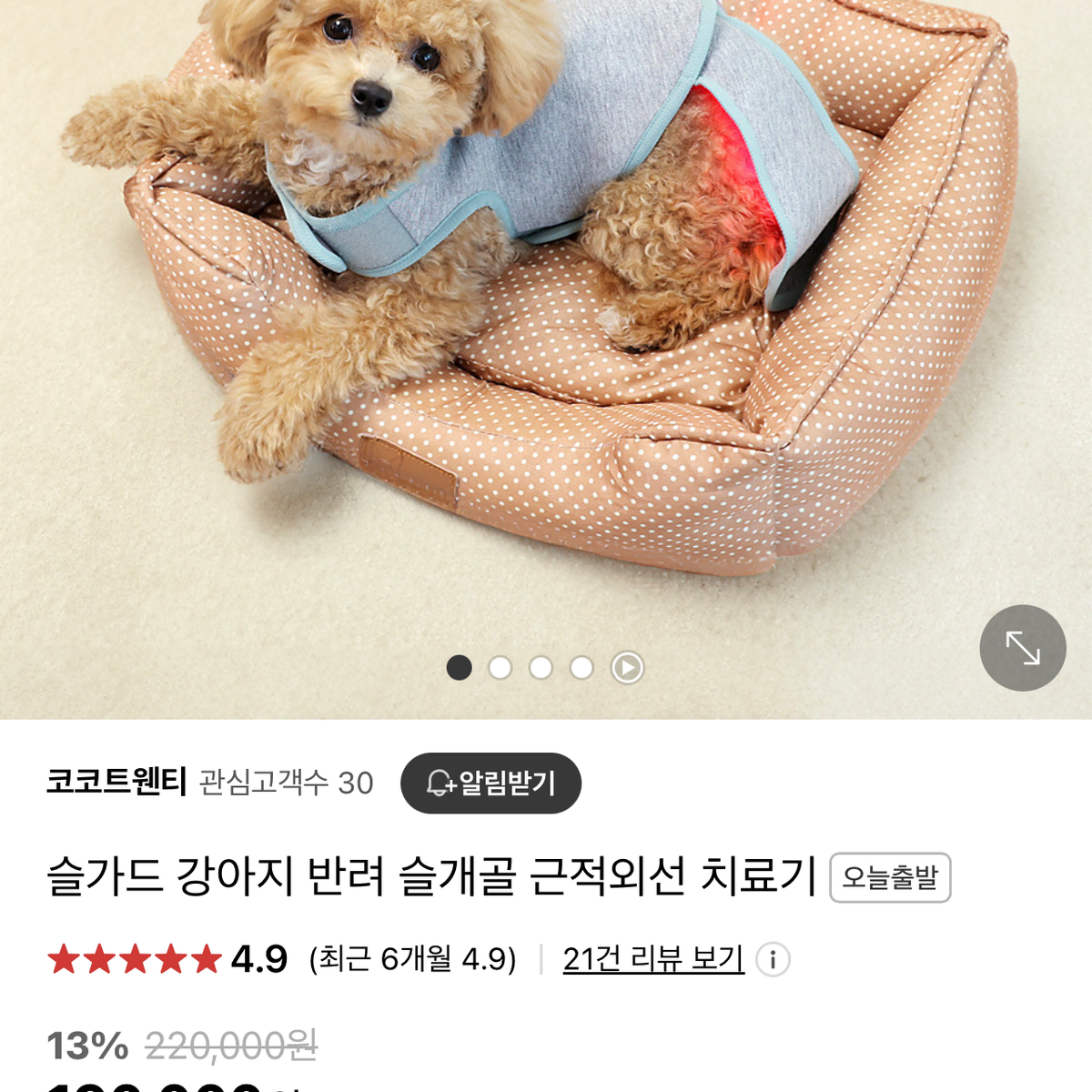 강아지 애견 슬개골 탈구 근적외선 치료기 새제품 팝니다