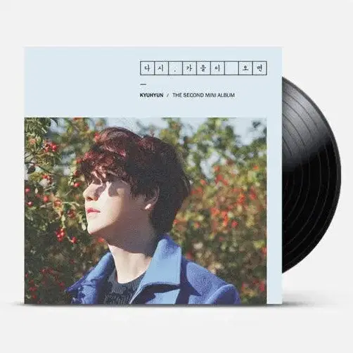 규현 lp 미개봉 팝니다