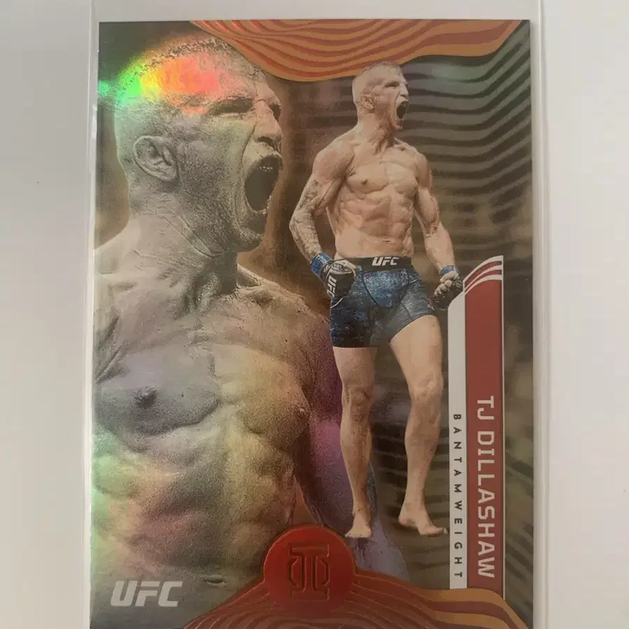 ufc TJ dillashaw