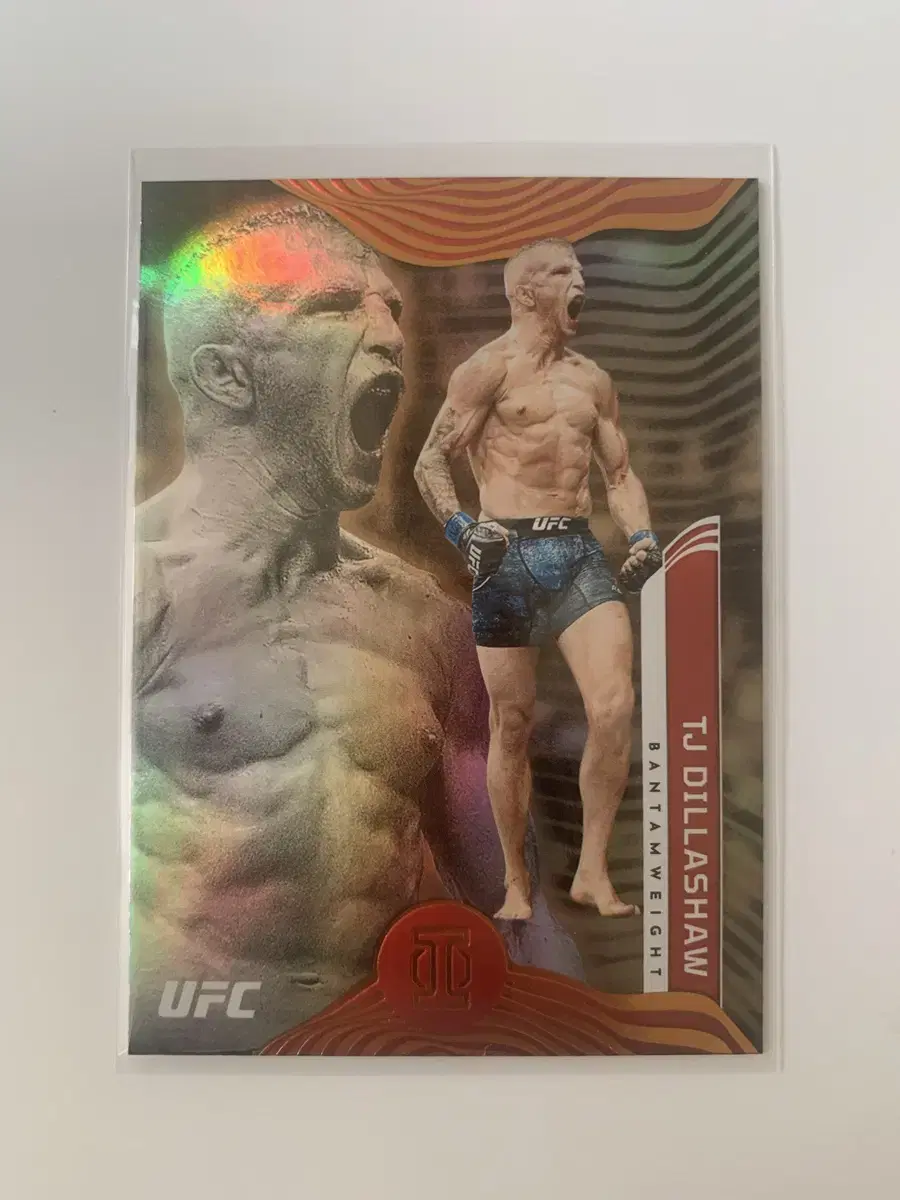 ufc TJ dillashaw