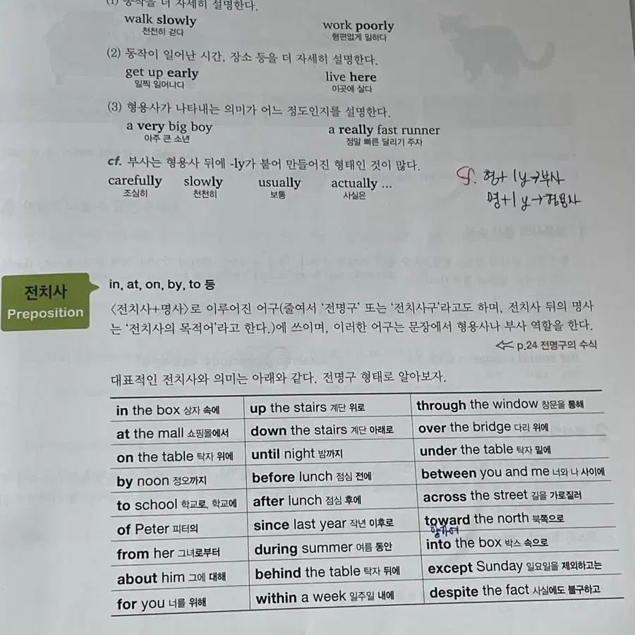 천일문 입문