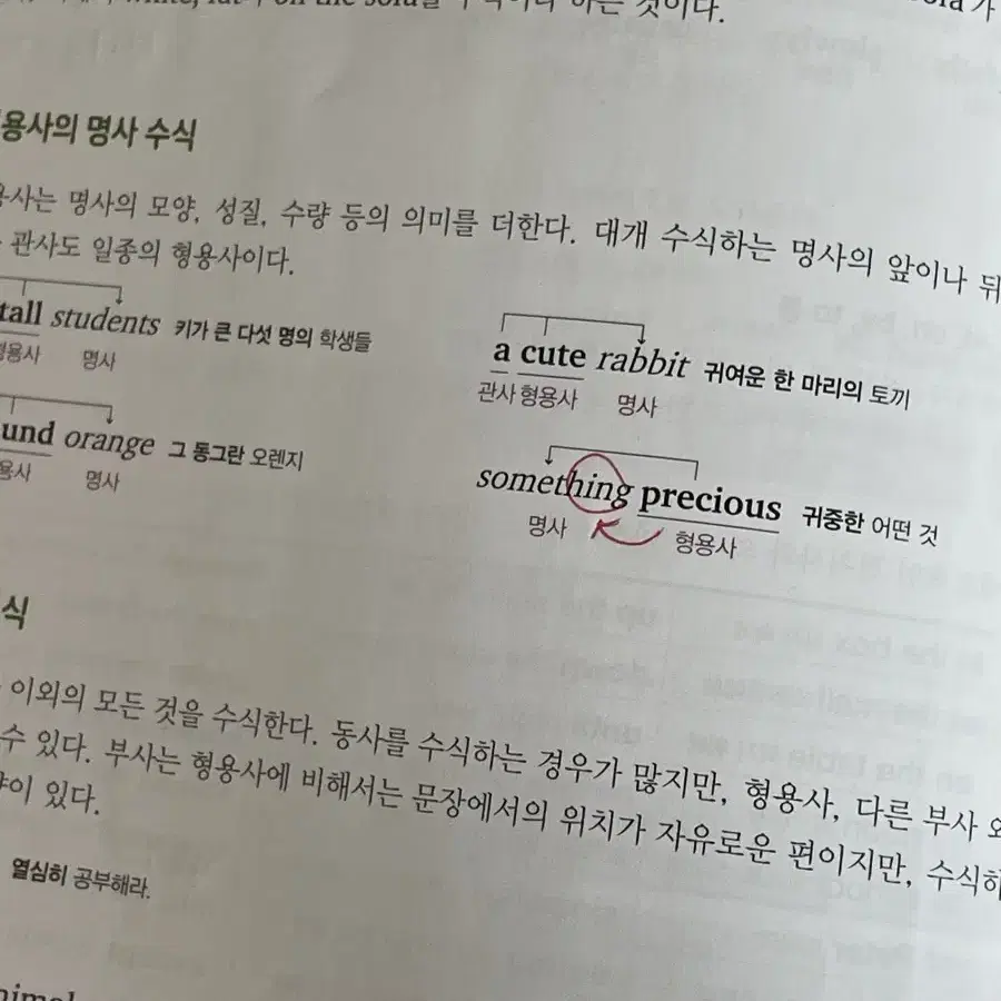 천일문 입문