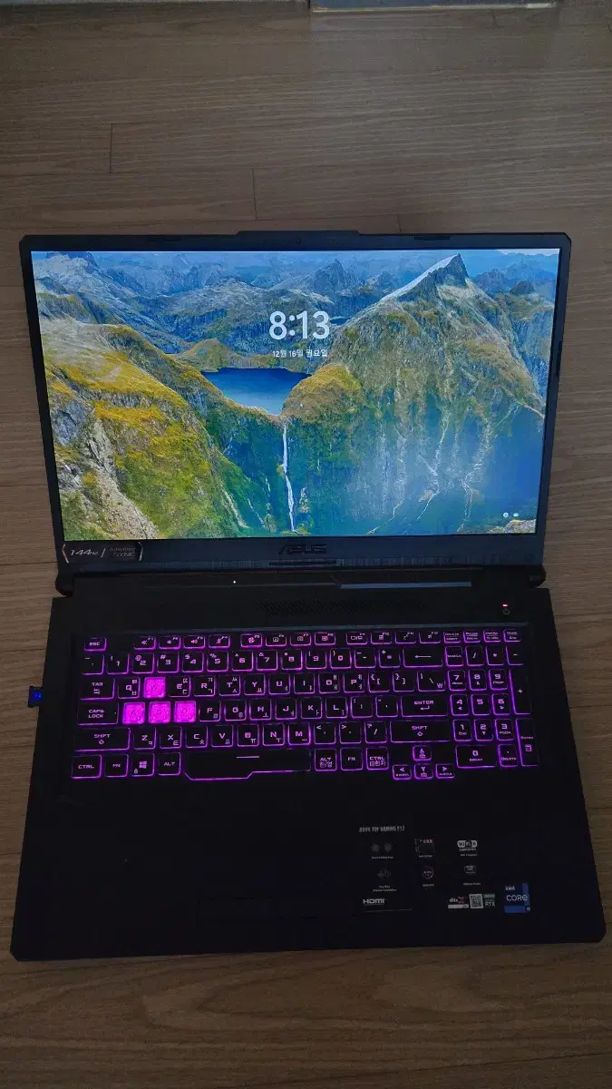 ASUS TUF FX706HM 17.3 인치 노트북 팝니다.