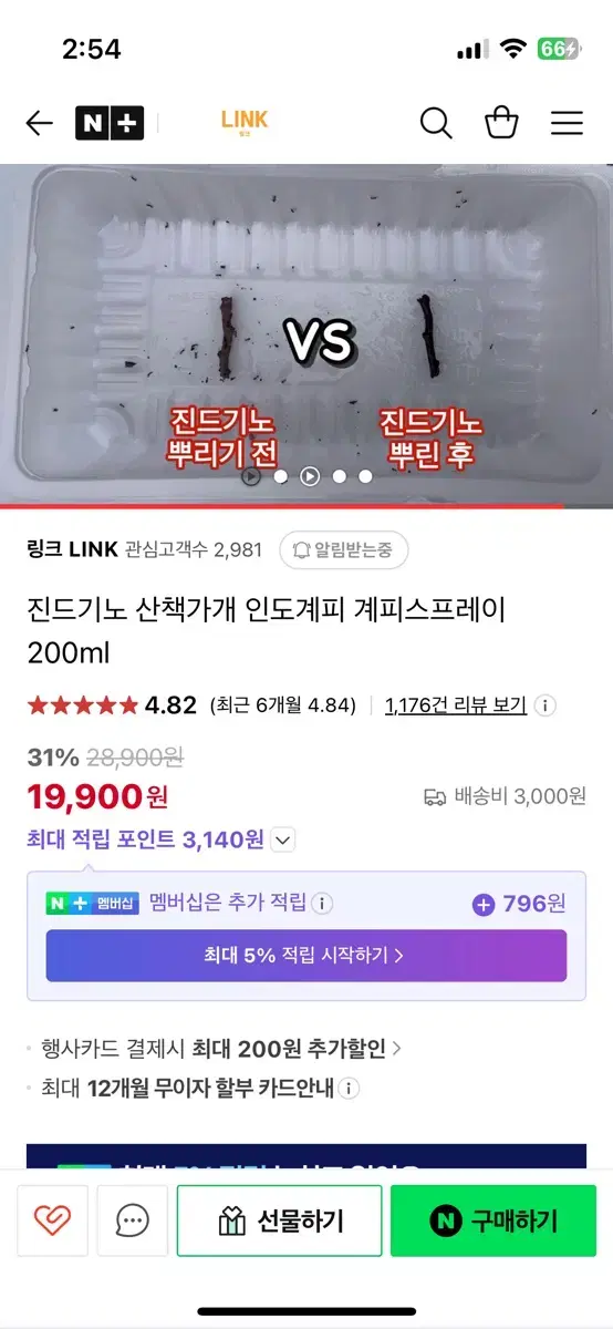 진드기노 계피 스프레이 강아지 진드기