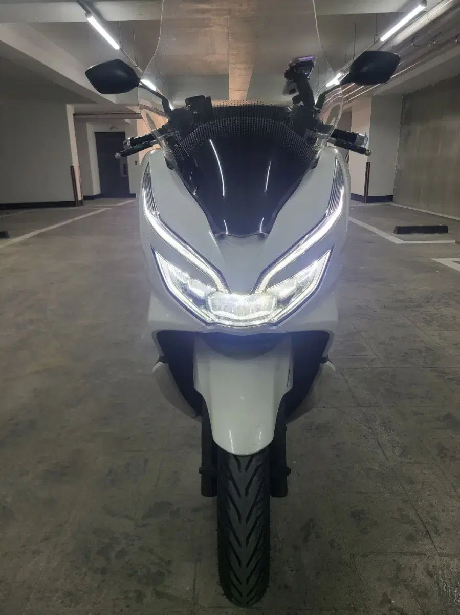 서울pcx150cc19년abs