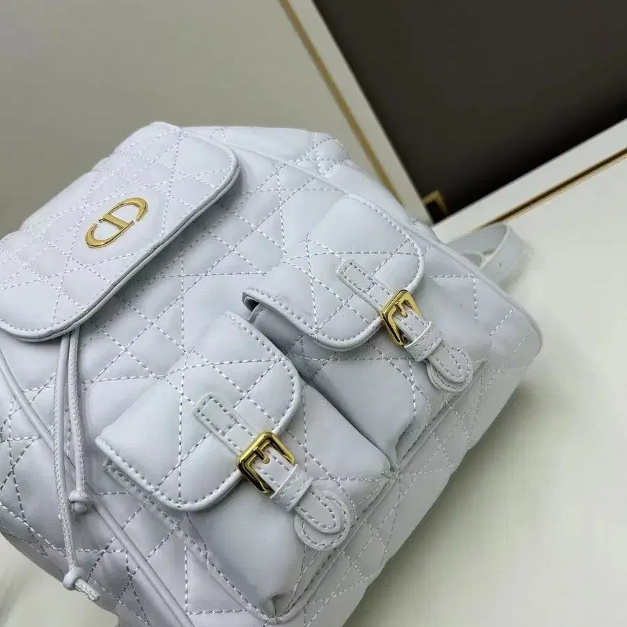 DIOR 디오르 배낭