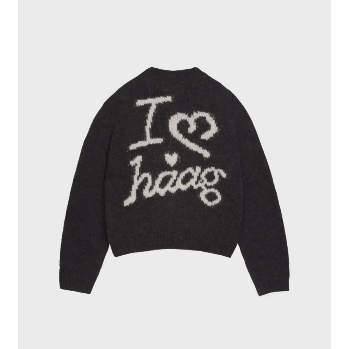 헤이그 a love haag zip-up (charcoal) 헤이그집업