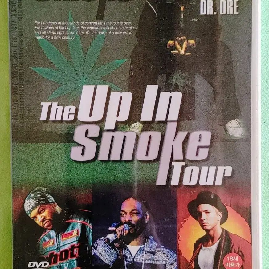 the Up in smoke tour DVD