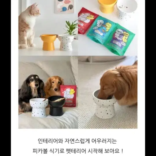 멍해묘해 강아지 고양이 밥그릇 물그릇