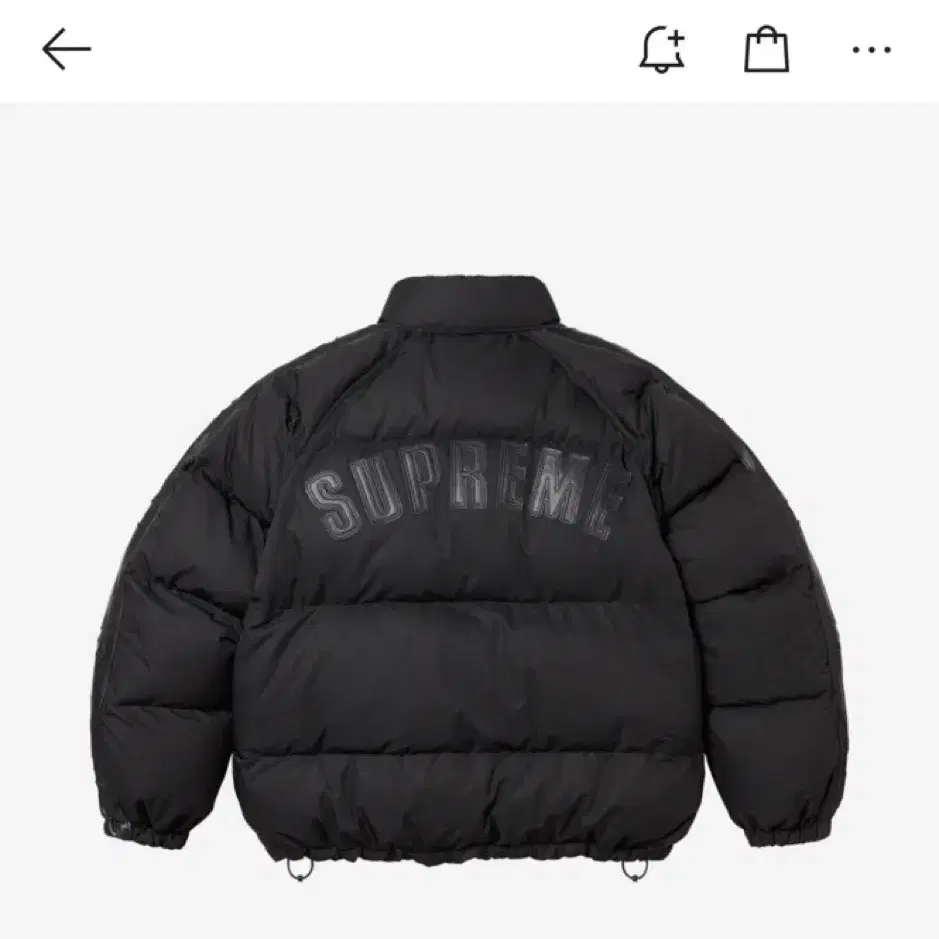 슈프림 Supreme Star Sleeve Down Puffer