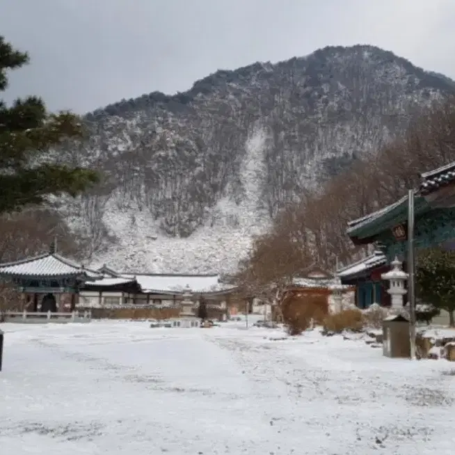 영동 반야사 2024.12.26-27 2인