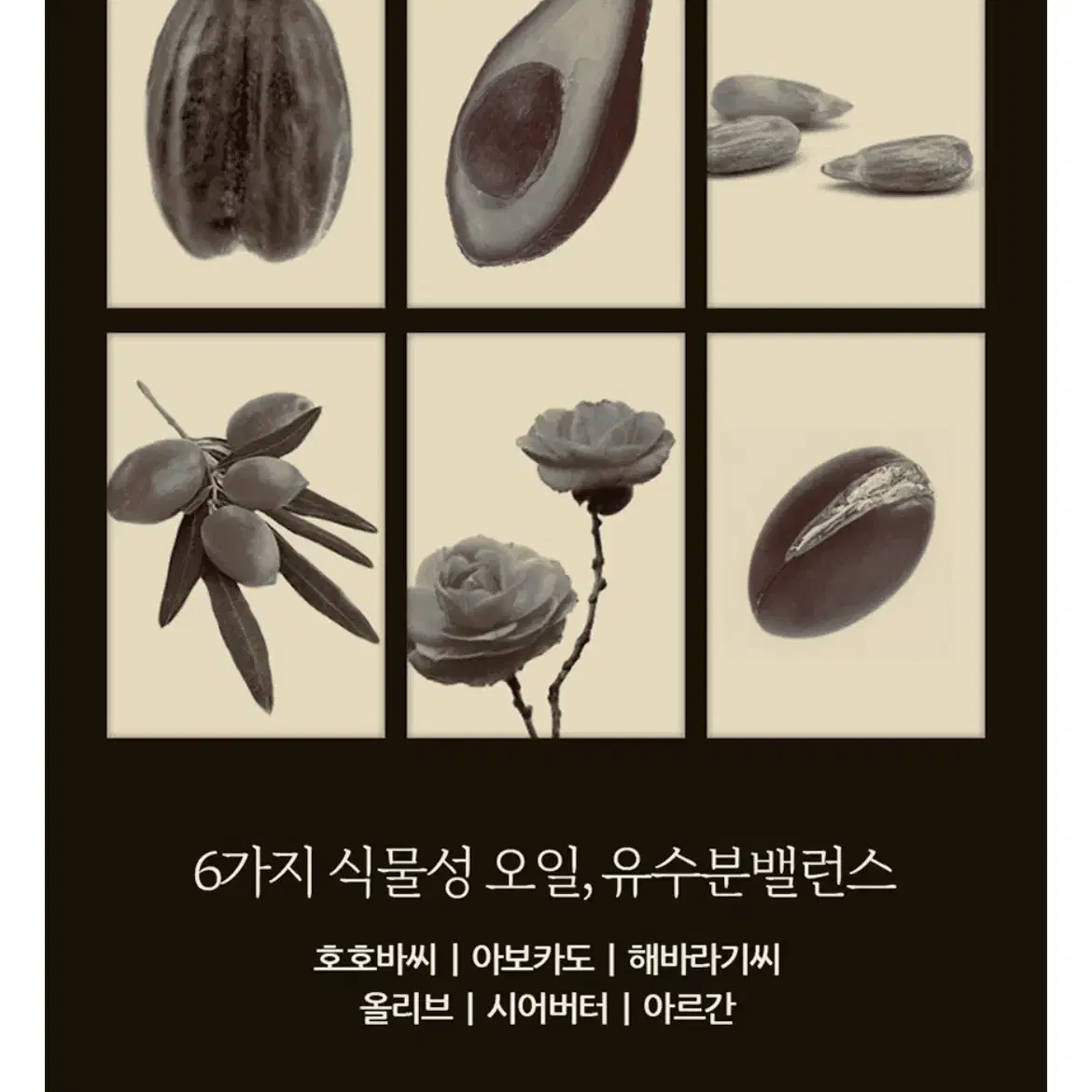 특대용량 모링가 오일 바디로션 1500ml [새제품]