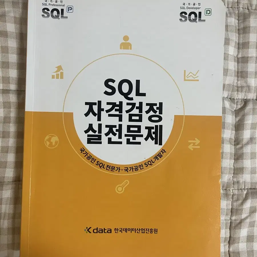 sql 노랭이 문제집