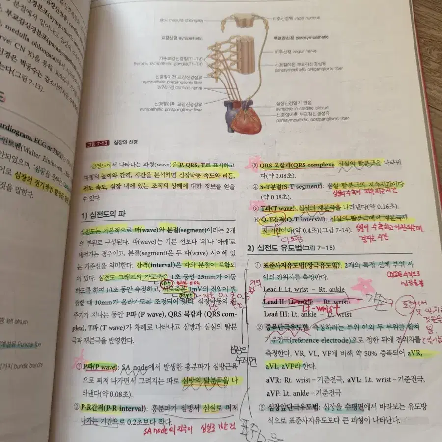 수문사 - 생리학 박억숭