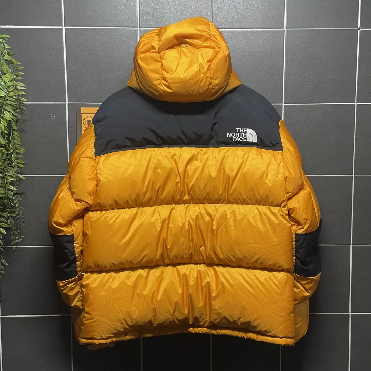 The North Face 노스페이스 700 써밋 구스다운패딩