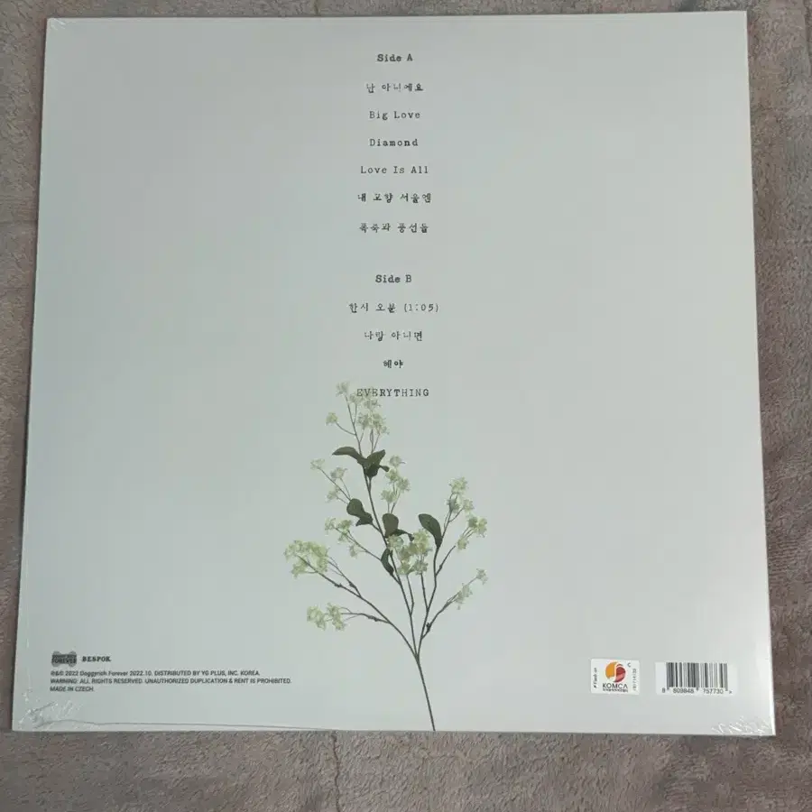 검정치마 Team Baby LP