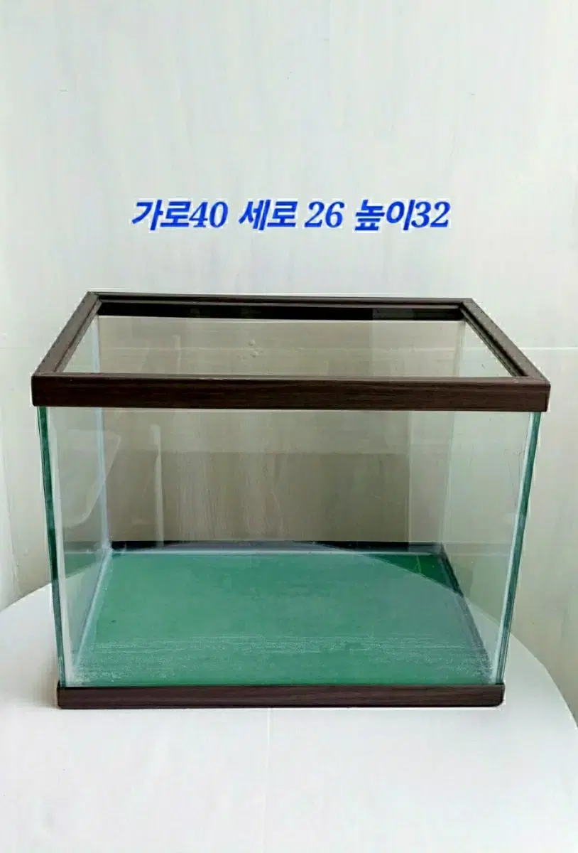 수족관