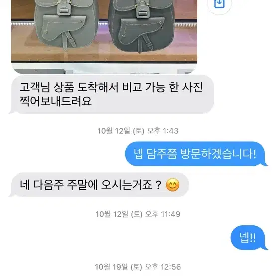 디올 갤럽 슬링백 남녀공용 딥 그레이