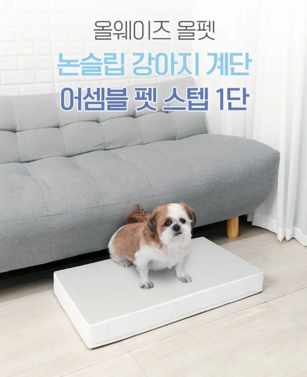 강아지 계단