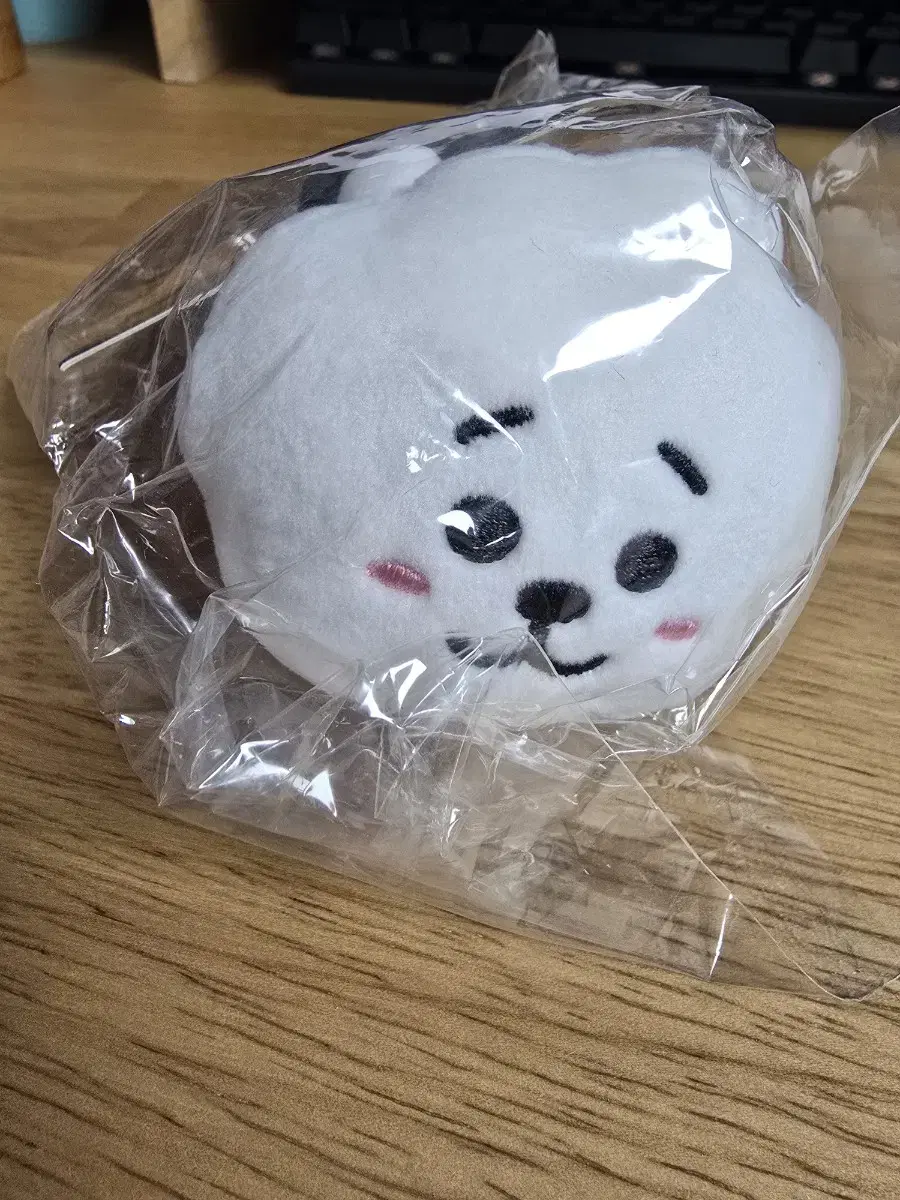 (Cost wts) BT21 RJ doll keyring RJ