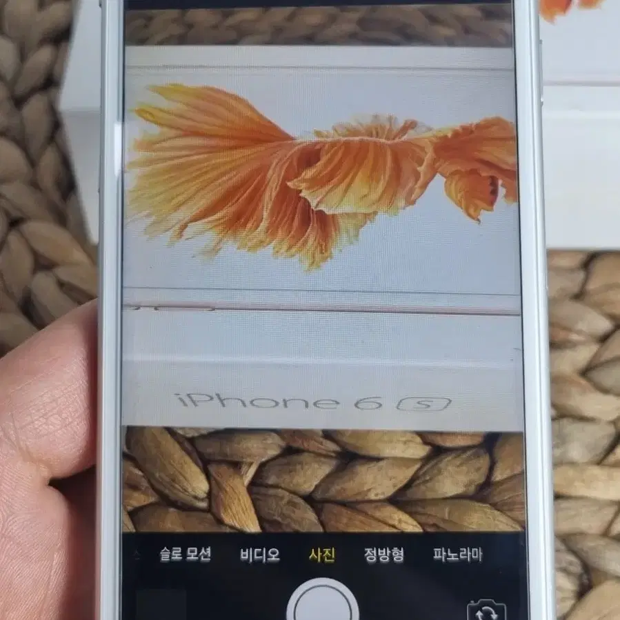 아이폰6s 실버 64g 카메라 훌륭!