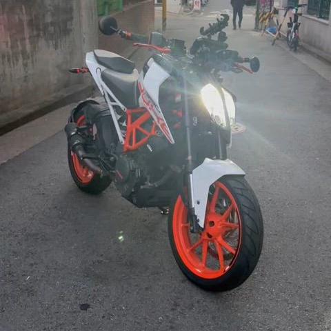 2019 KTM 듀크390