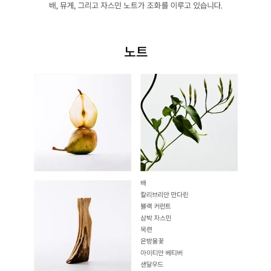 18일 단하루 진행/추후수령)로에베 아이레 수틸레사 EDT 50ml