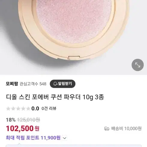 디올 포에버 쿠션 파우더