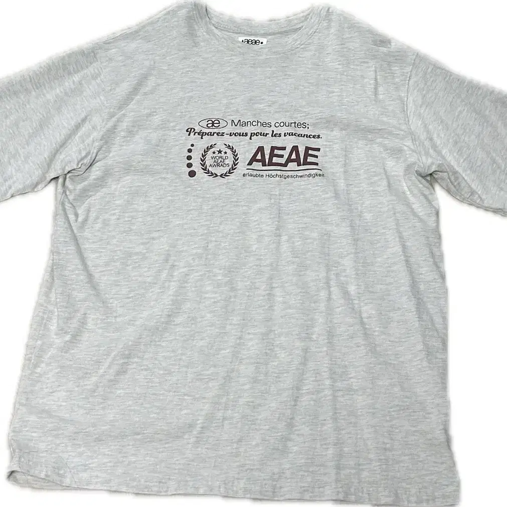 Aeae 반팔 오트밀 new logo t-shirt oatmeal