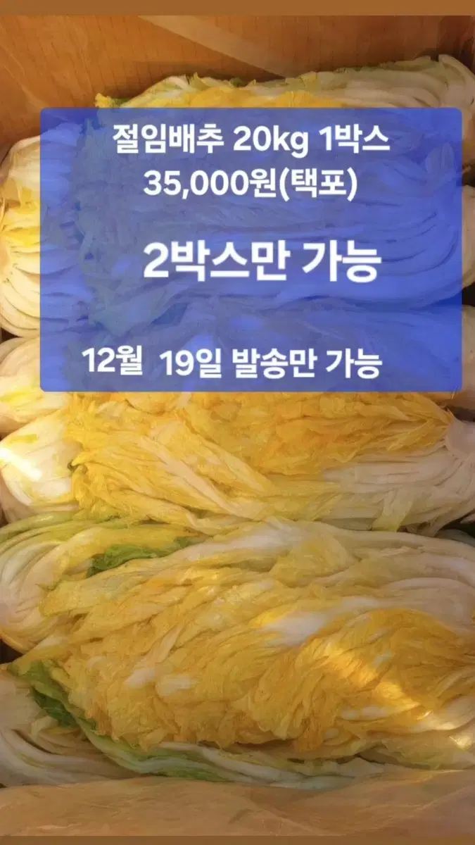 장동 절임배추 20kg 3박스 7만원(택포) 12월 19일 발송만 가능