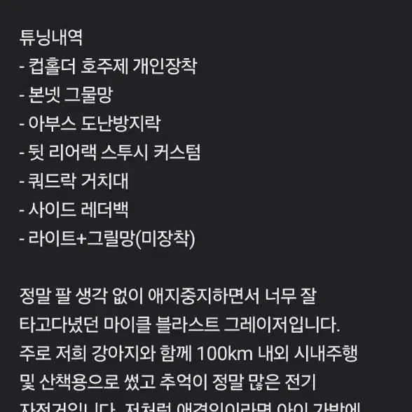 마이클 블라스트 그레이저 전기자전거 자토바이 팝니다