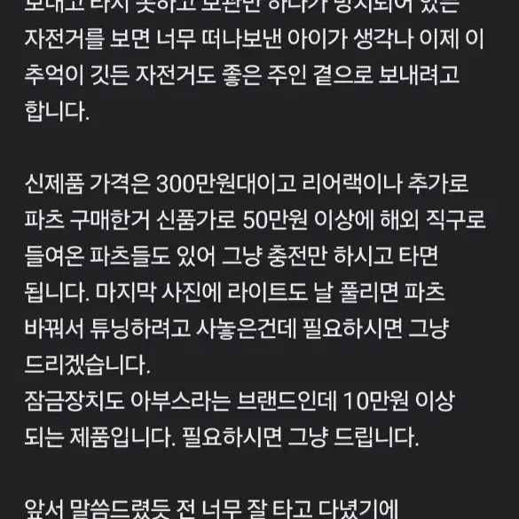 마이클 블라스트 그레이저 전기자전거 자토바이 팝니다