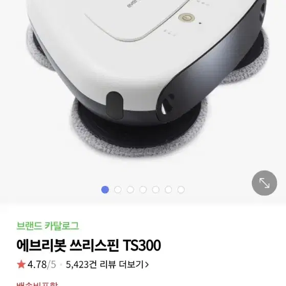 에브리봇 쓰리스핀 TS300