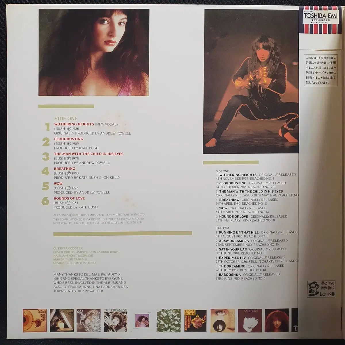 케이트 부쉬 KATE BUSH THE WHOLE STORY LP 일본반