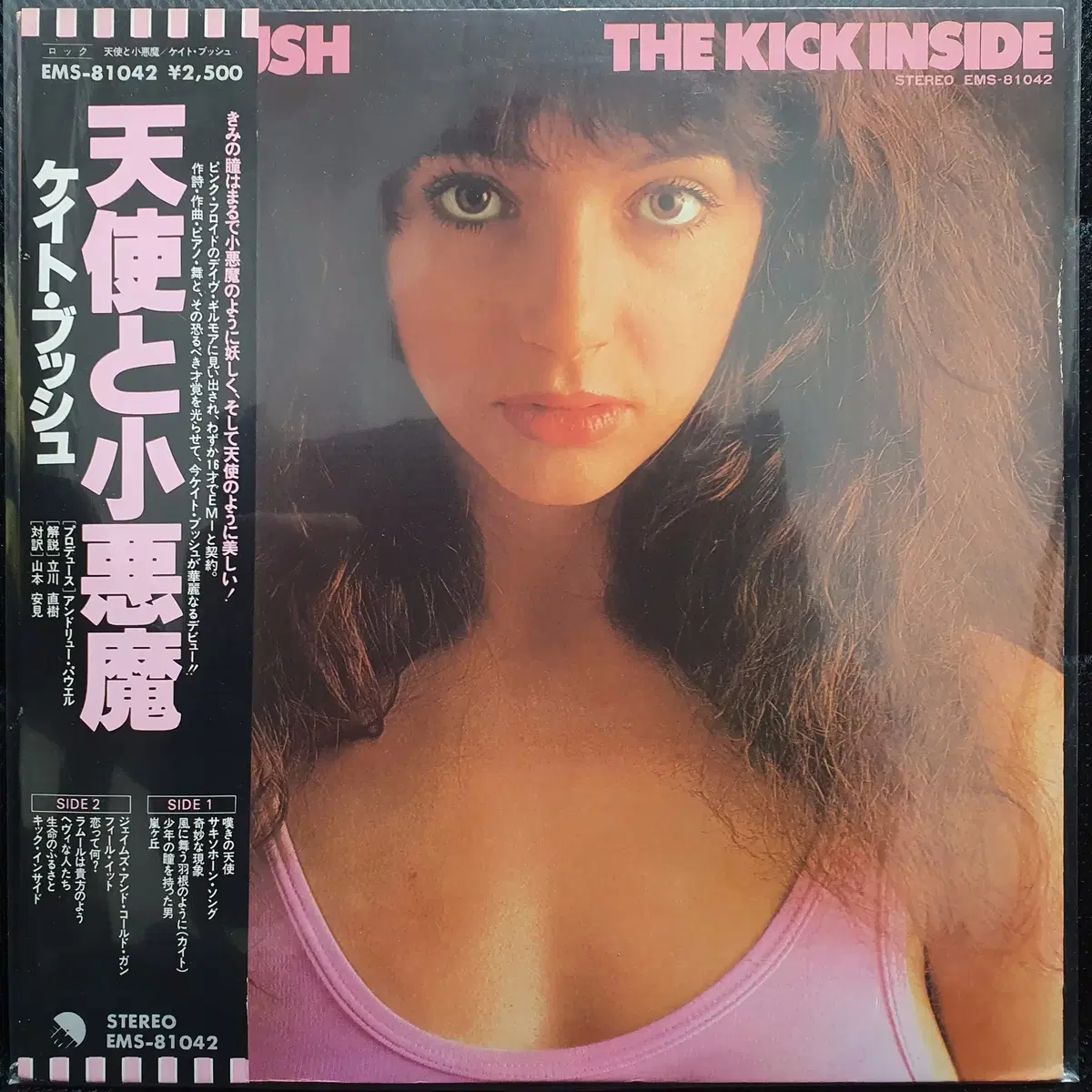 케이트 부쉬 KATE BUSH THE KICK INSIDE LP 일본반