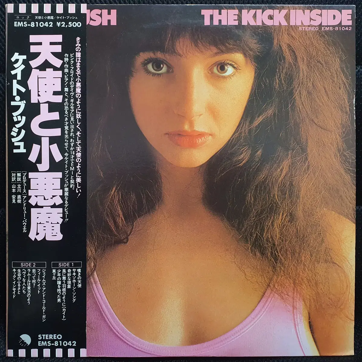 케이트 부쉬 KATE BUSH THE KICK INSIDE LP 일본반