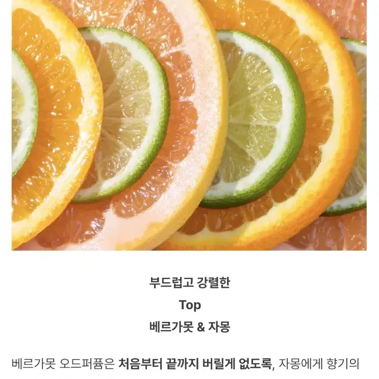 반택포) [텀블벅 향수] 따스한 별꽃이 반짝반짝 내려앉은 베르가못 향수