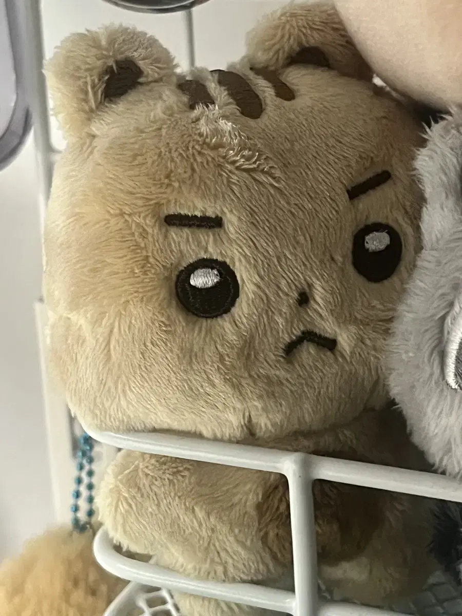 엽톨이 루시 인형 양도