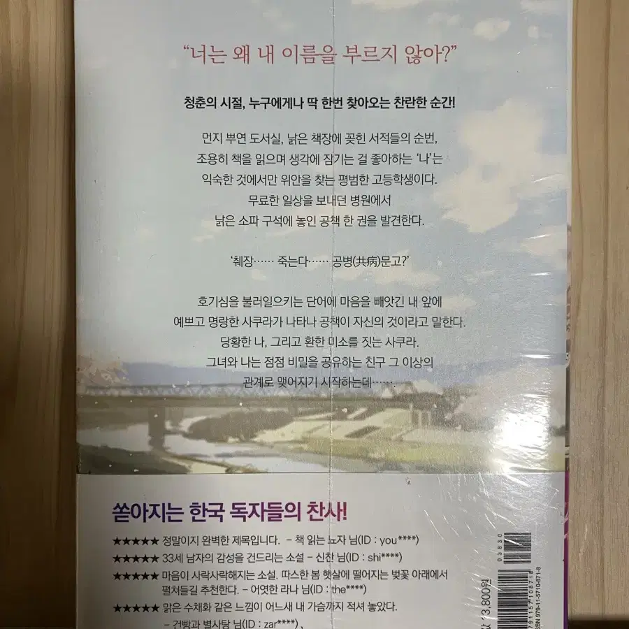 (미사용) 너의 췌장을 먹고 싶어 소설책 판매