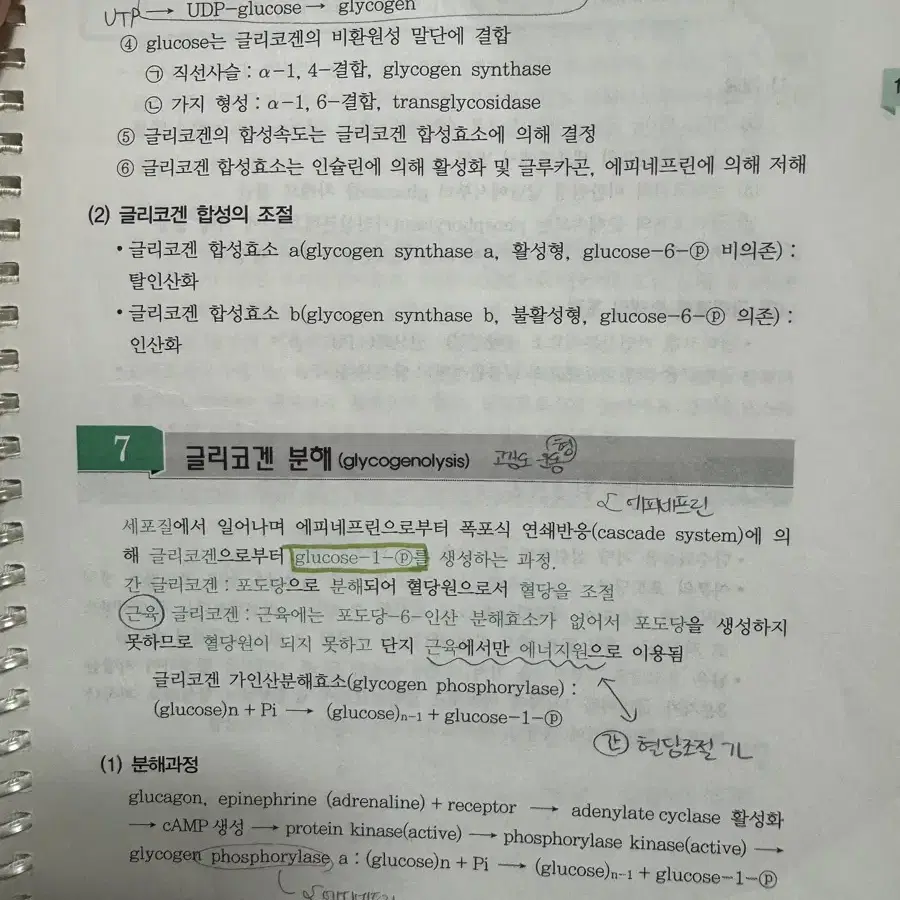 제본_문운당 영양사 일괄(요점정리, 시험문제집, 국시원 기출문제 4개년)